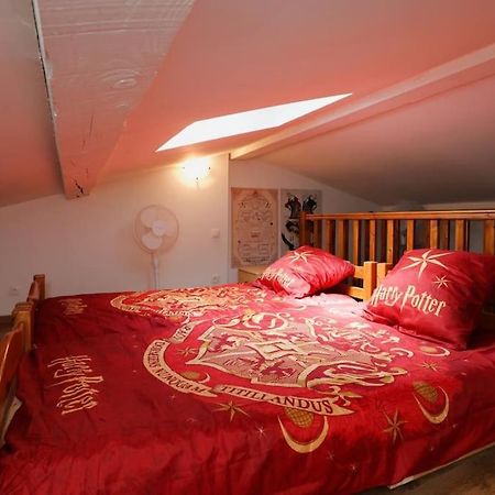 Harry Potter - Le Logis Du Petit Sorcier - Clim Leilighet Carcassonne Eksteriør bilde